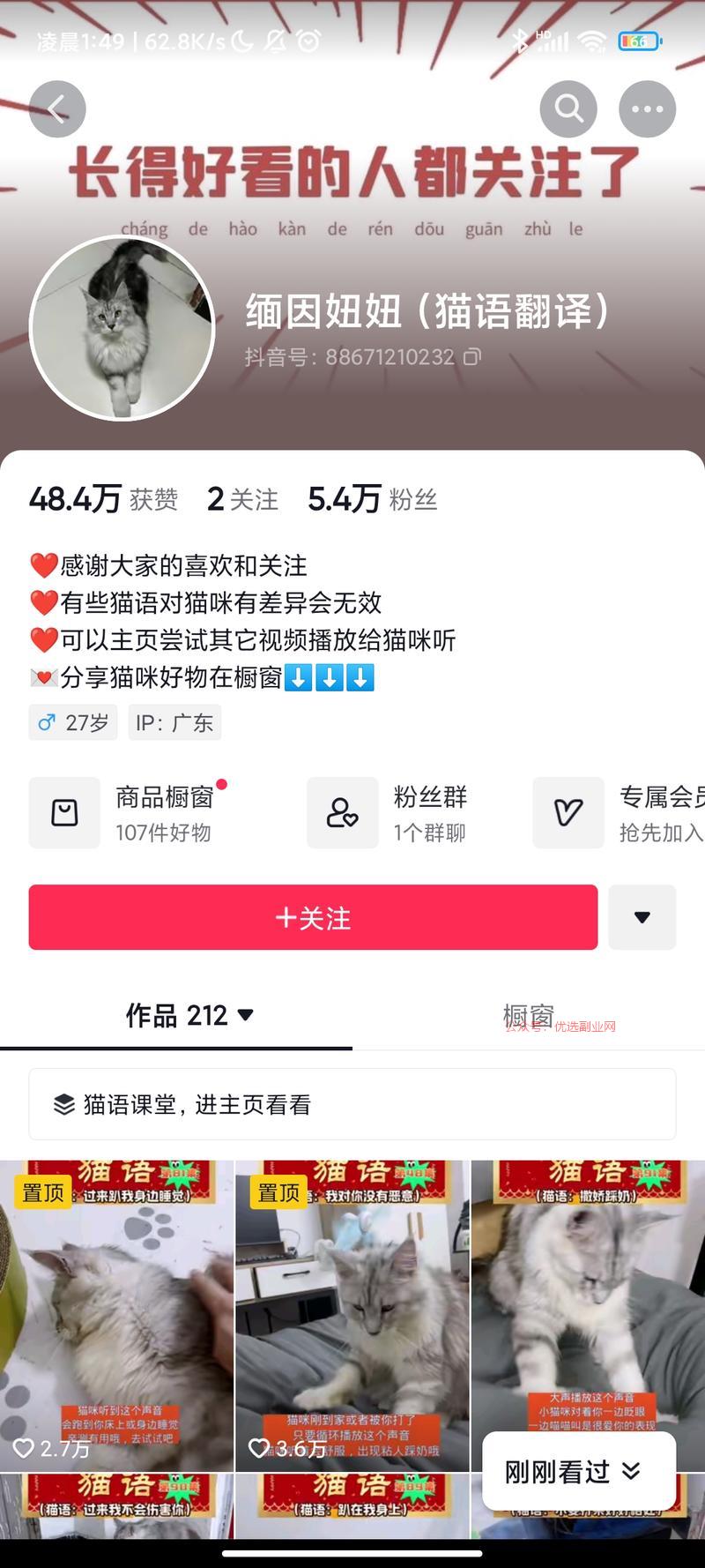 猫咪的各种叫声代表着什…#情报-搞钱情报论坛-网创交流-优选副业网